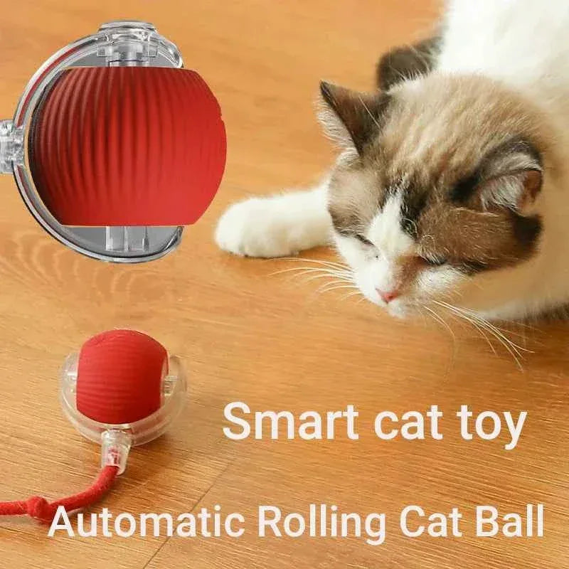 Cat Toy - Smart Rolling Ball for Active Kittens - Happy Tails - paws & love