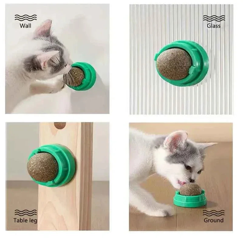 Catnip Wall Toy - Happy Tails - paws & love