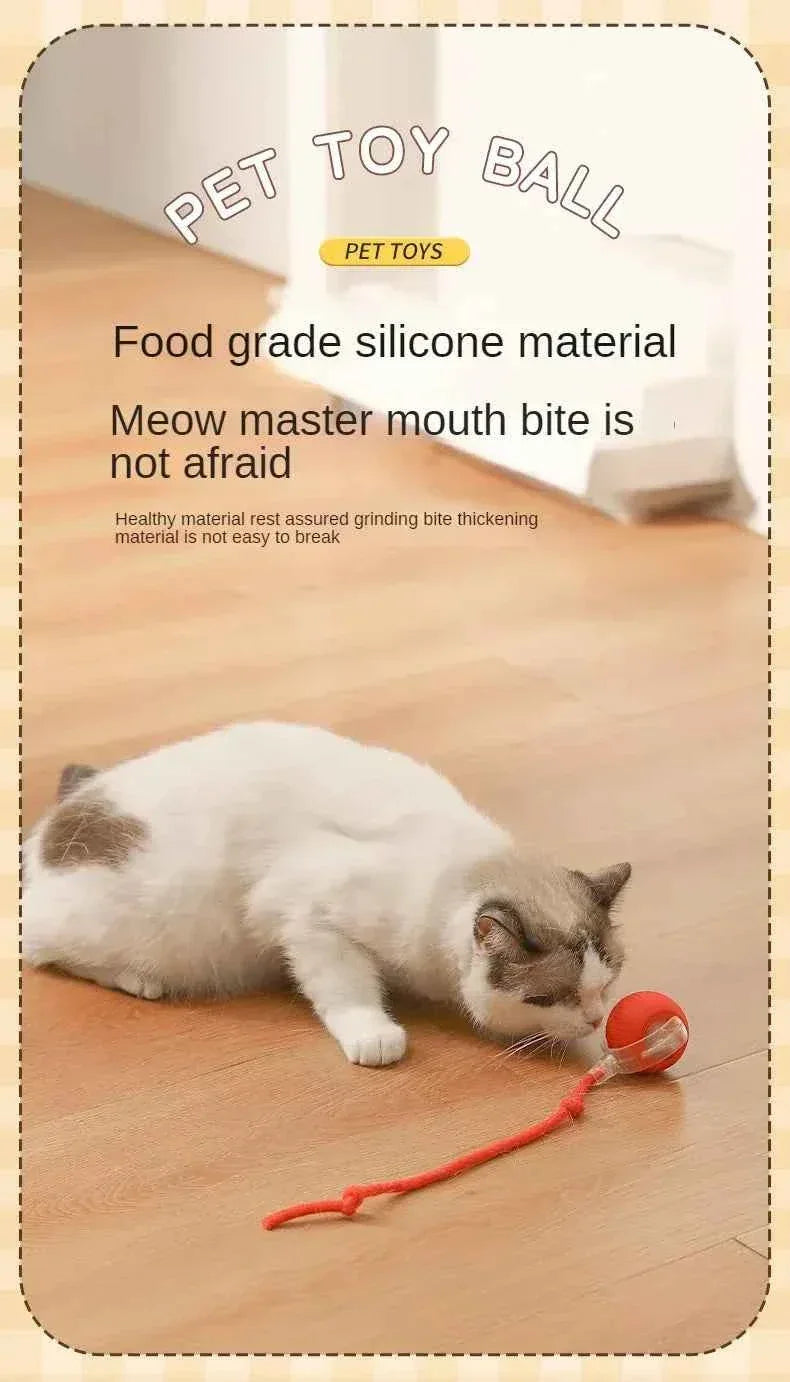 PawPal Automatic Rolling Ball Toy - Rechargeable Interactive Toy for Cats & Dogs - Happy Tails - paws & love