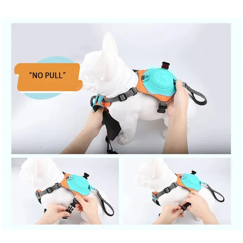 No Pull Dog Harness with Leash - Happy Tails - paws & love