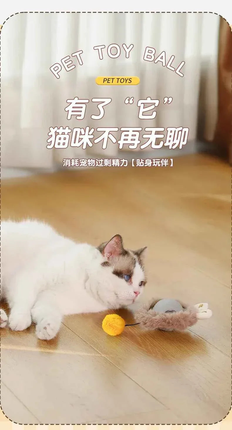 PawPal Automatic Rolling Ball Toy - Rechargeable Interactive Toy for Cats & Dogs - Happy Tails - paws & love