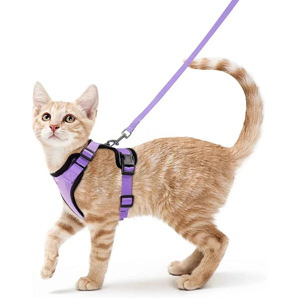 Cattitude Cat Harness & Leash - Happy Tails - paws & love