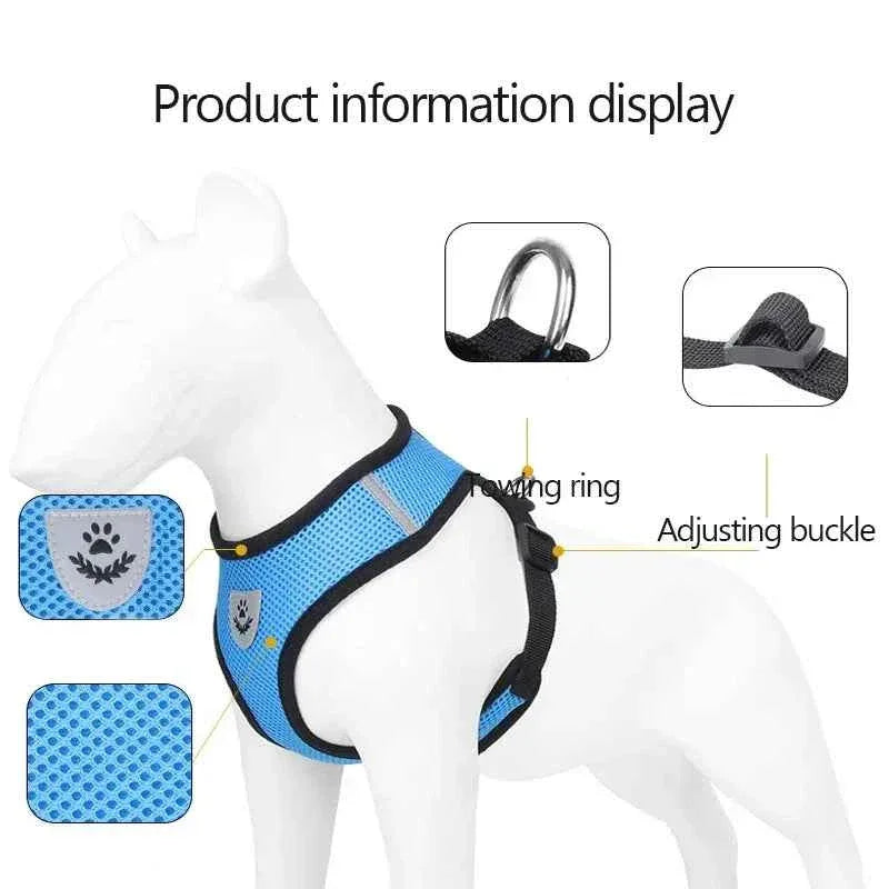 Pawsitive Vibes Cat Harness for Small Dogs - Happy Tails - paws & love