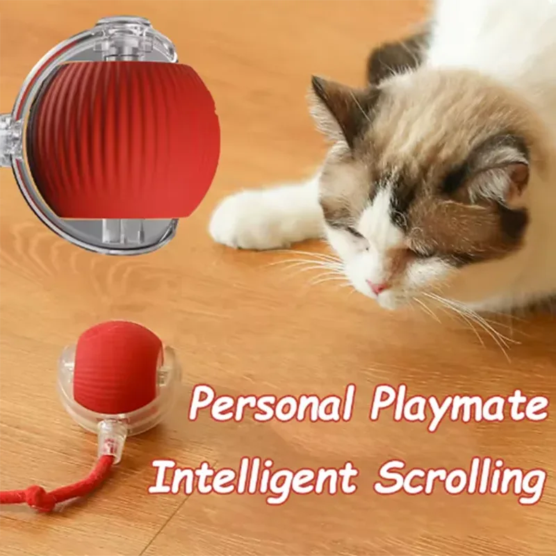 Automatic Cat Toys - Happy Tails - paws & love