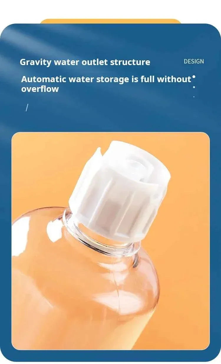 3-in-1 Tilted Cat Bowl - Happy Tails - paws & love