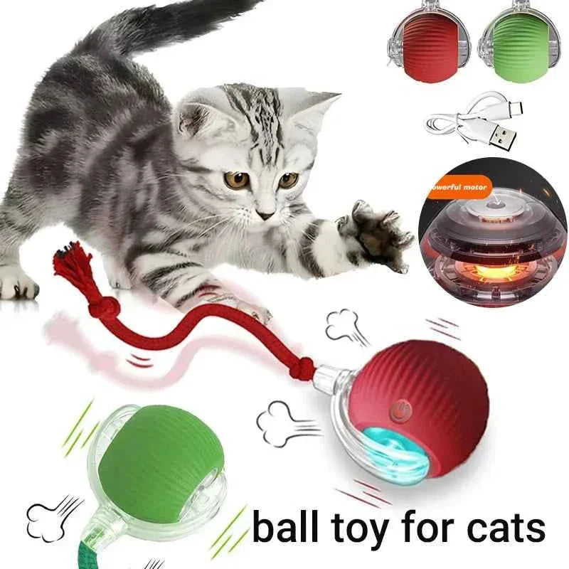 Cat Toy - Smart Rolling Ball for Active Kittens - Happy Tails - paws & love