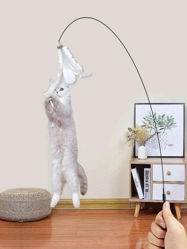 Entertainment Toy for Cats - Happy Tails - paws & love