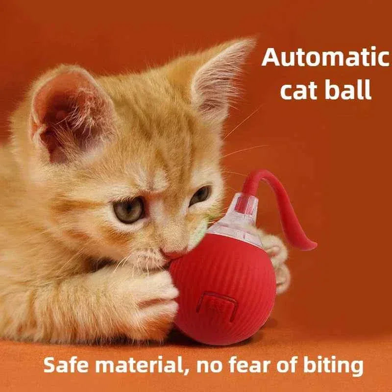 PawPal Automatic Rolling Ball Toy - Rechargeable Interactive Toy for Cats & Dogs - Happy Tails - paws & love