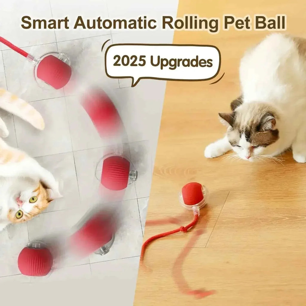 Cat Toy - Smart Rolling Ball for Active Kittens - Happy Tails - paws & love