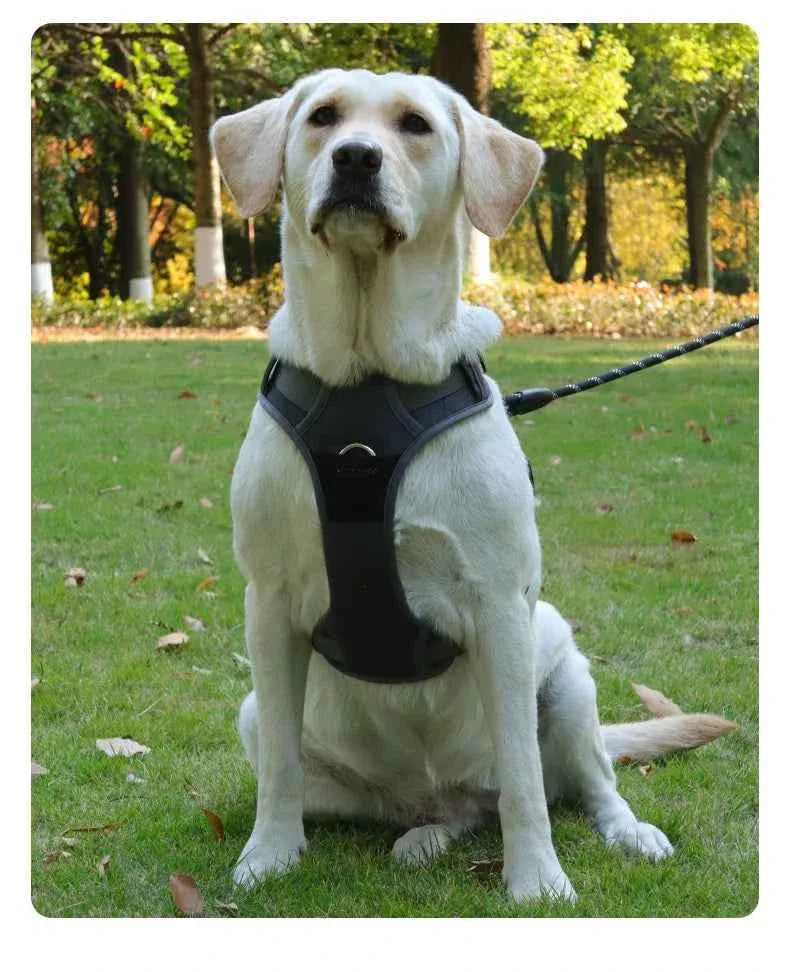 Naughty Dog Reflective No Pull Harness - Adjustable Safety Vest for Medium & Large Dogs, Perfect for Walking & Running - Happy Tails - paws & love