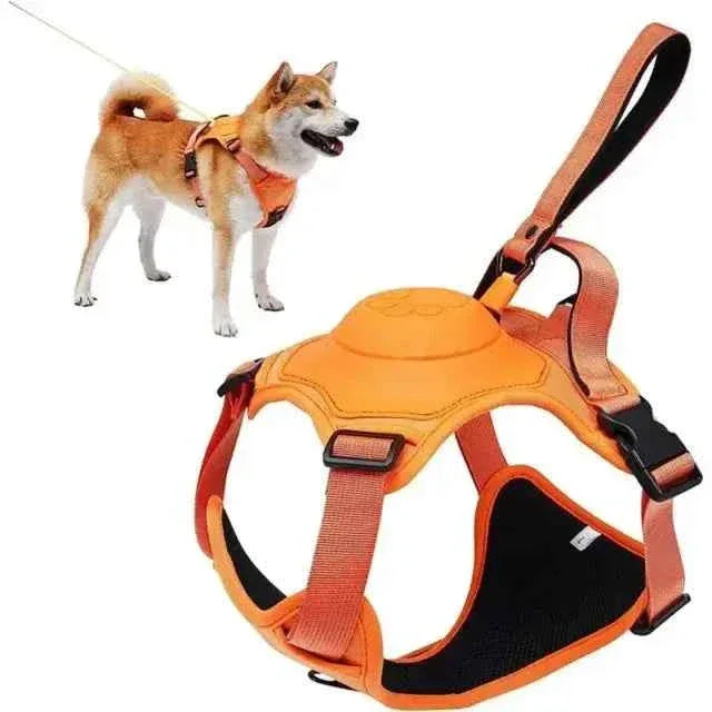 AMOBOX Retractable Dog Harness and Leash - Adjustable, Comfortable, and Slip-Resistant for Large Dogs - Happy Tails - paws & love