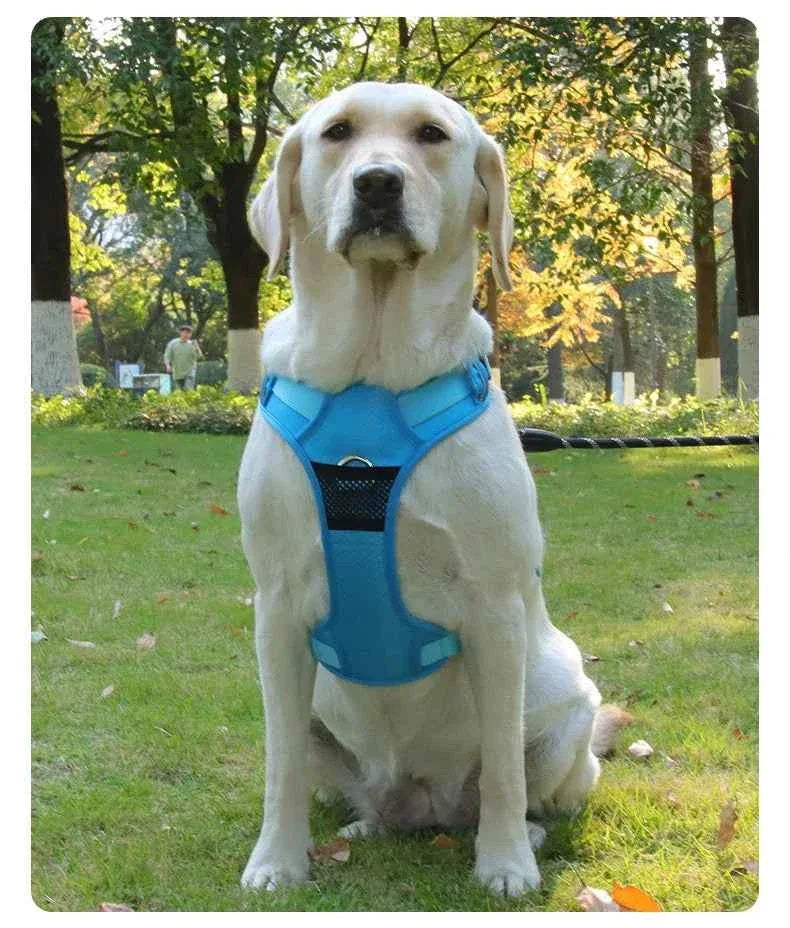 Naughty Dog Reflective No Pull Harness - Adjustable Safety Vest for Medium & Large Dogs, Perfect for Walking & Running - Happy Tails - paws & love