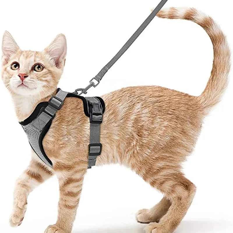 Cattitude Cat Harness & Leash - Happy Tails - paws & love