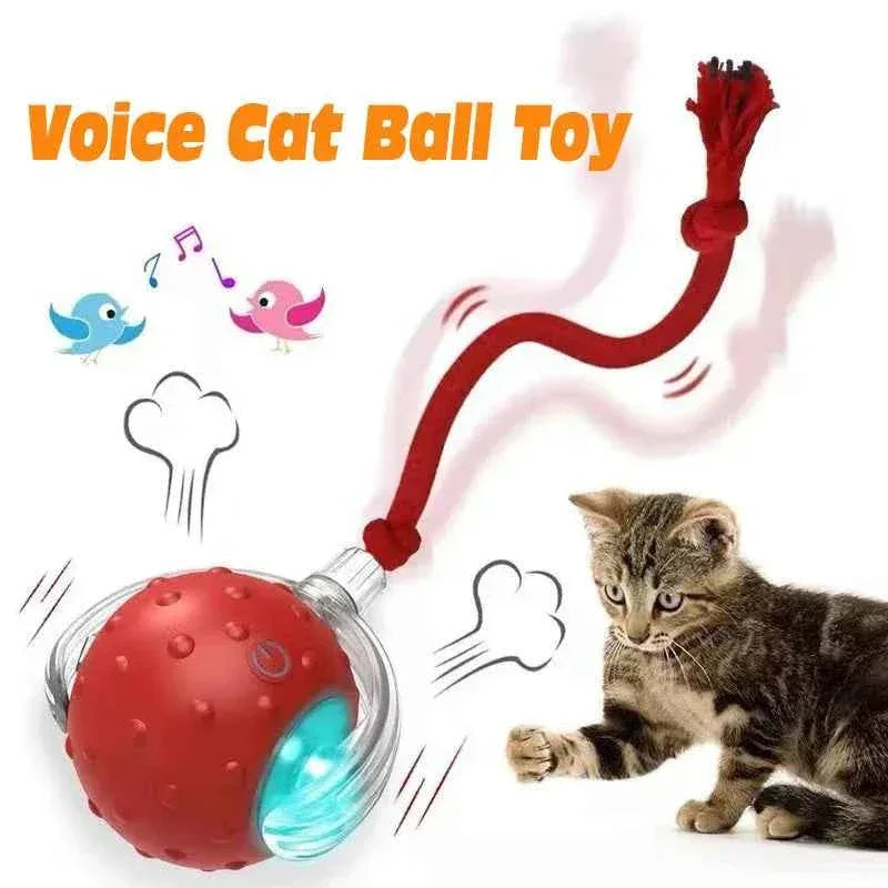 Cat Toy - Smart Rolling Ball for Active Kittens - Happy Tails - paws & love