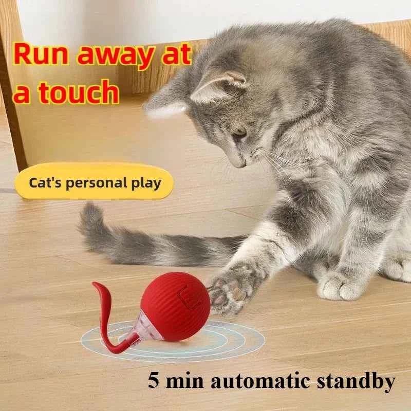 PawPal Automatic Rolling Ball Toy - Rechargeable Interactive Toy for Cats & Dogs - Happy Tails - paws & love