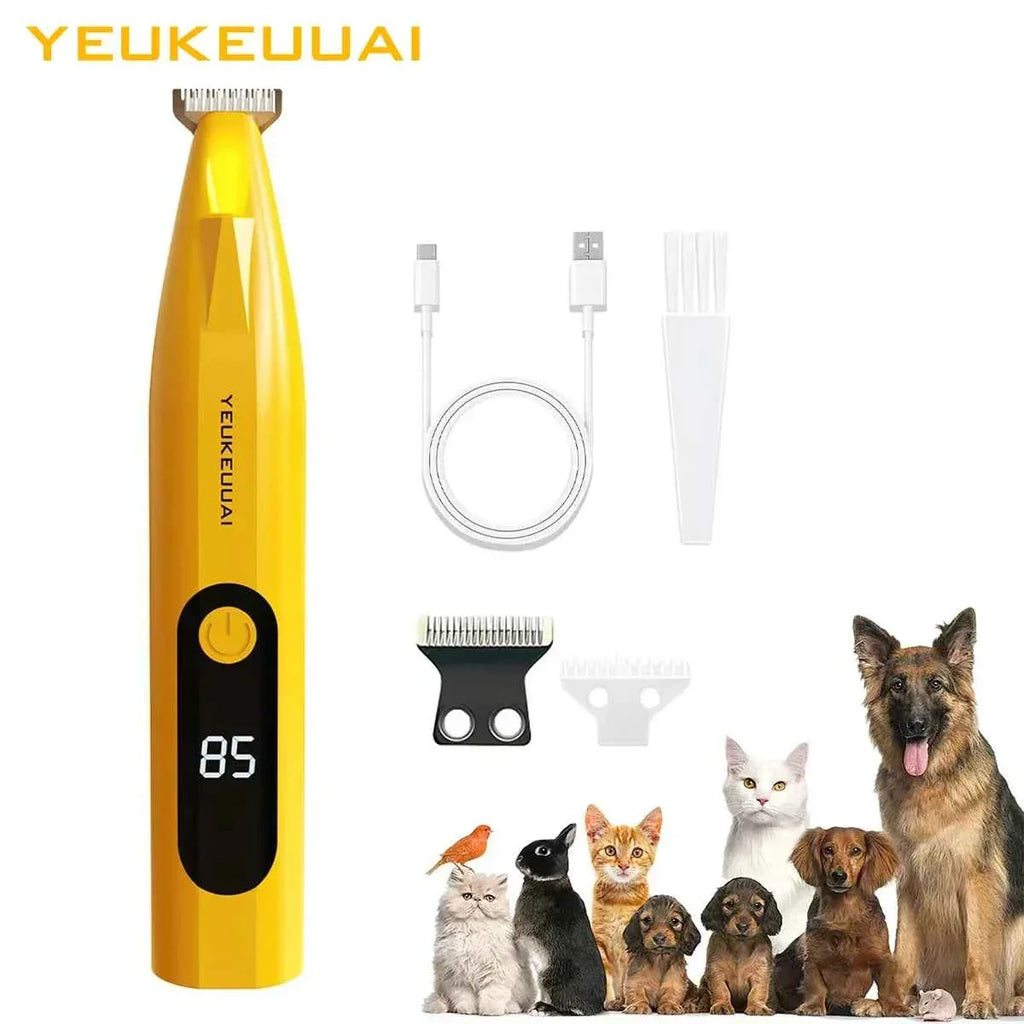 Grooming of Cats and Dogs - Premium Pet Grooming Services - Happy Tails - paws & love