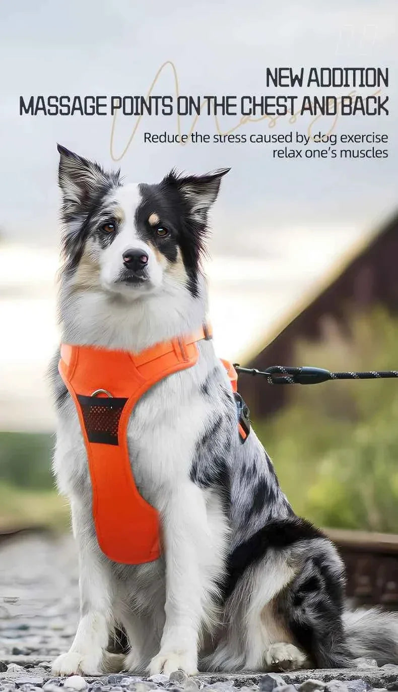 Naughty Dog Reflective No Pull Harness - Adjustable Safety Vest for Medium & Large Dogs, Perfect for Walking & Running - Happy Tails - paws & love