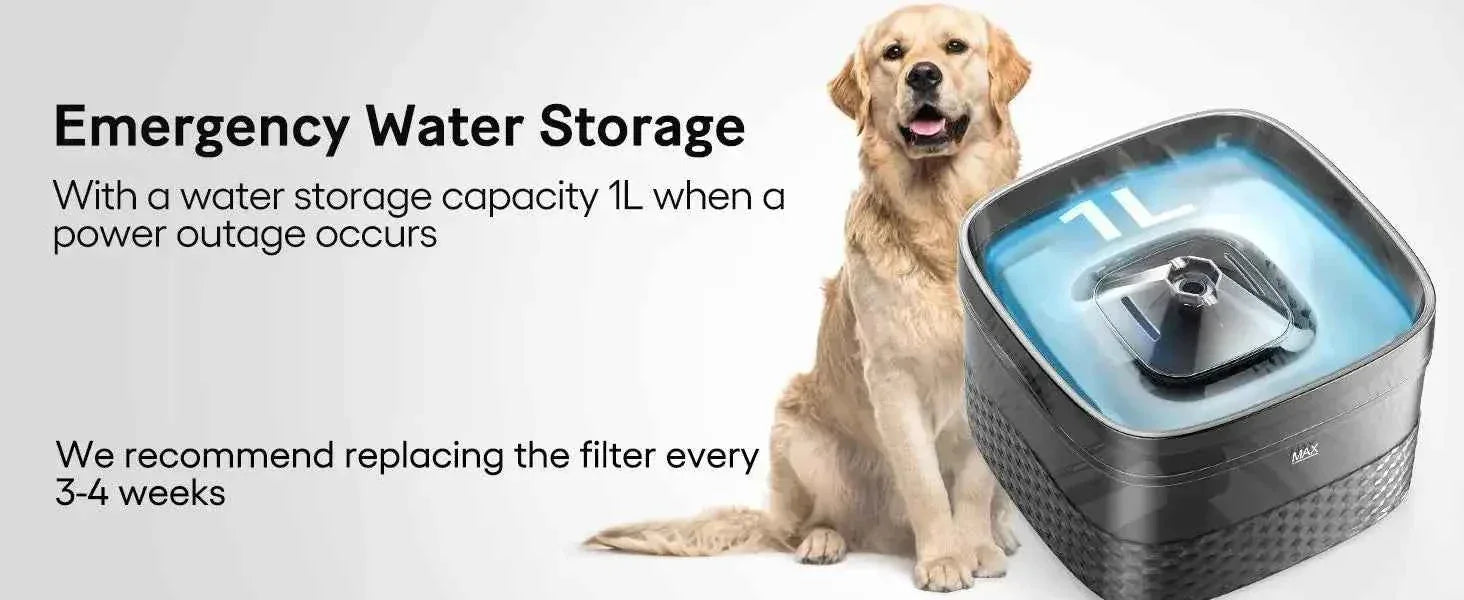 Pet Water Fountain - 2.4 Gallon Capacity - Happy Tails - paws & love