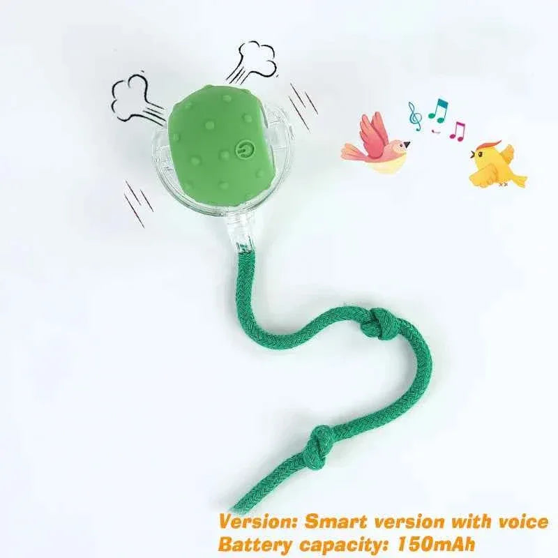 Cat Toy - Smart Rolling Ball for Active Kittens - Happy Tails - paws & love