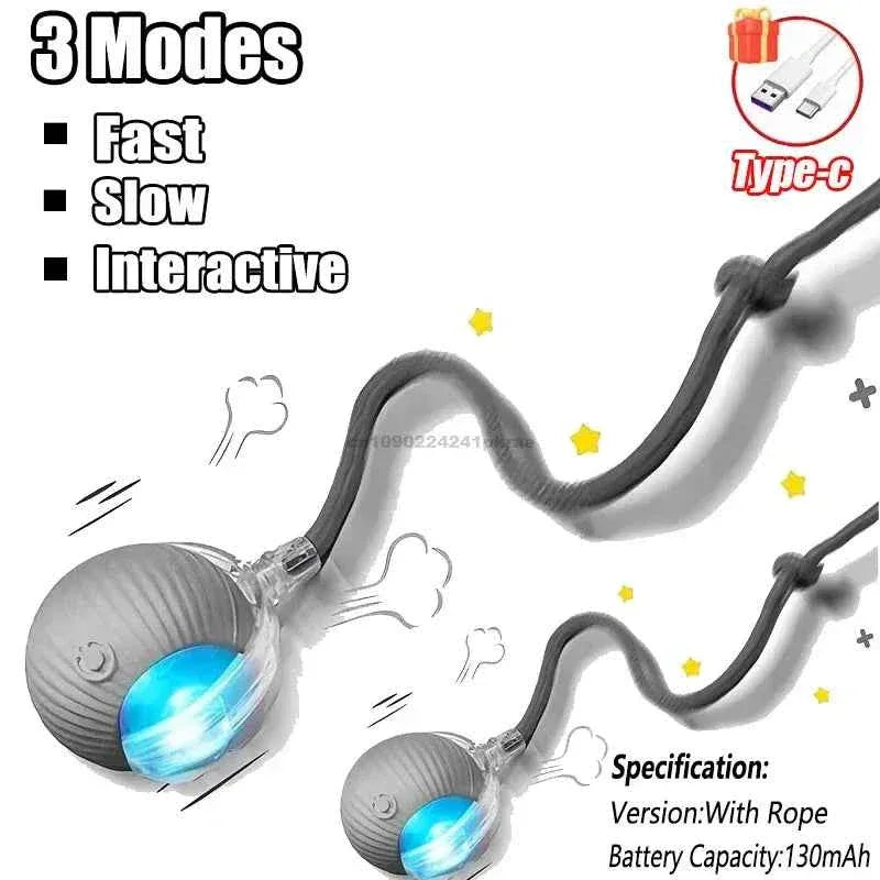 Feline Frenzy Interactive Cat Toy - Rechargeable Rolling Ball with Faux Tail for Ultimate Pet Training Fun - Happy Tails - paws & love