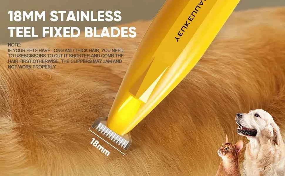 Grooming of Cats and Dogs - Premium Pet Grooming Services - Happy Tails - paws & love