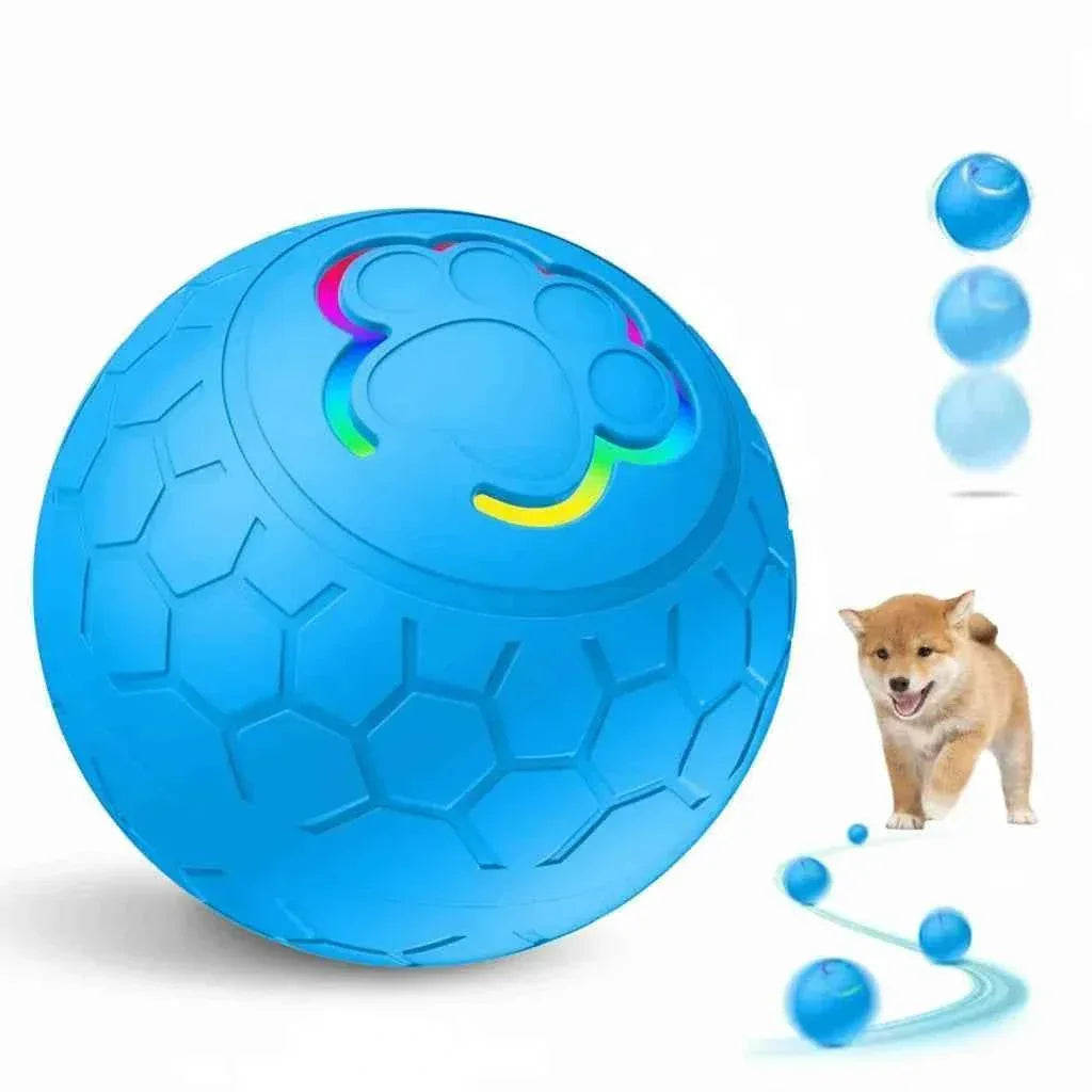 Electric Dog Interactive Ball - Happy Tails - paws & love