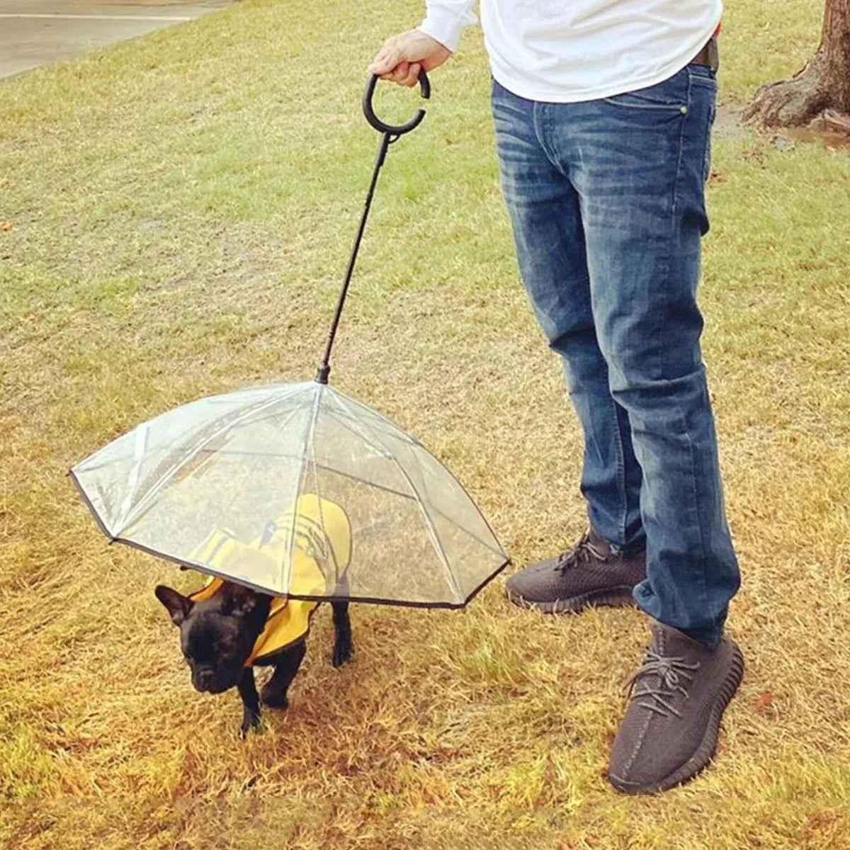 Dog Umbrella for Small Pets - Happy Tails - paws & love