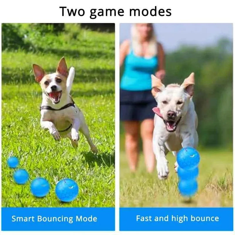 Electric Dog Interactive Ball - Happy Tails - paws & love