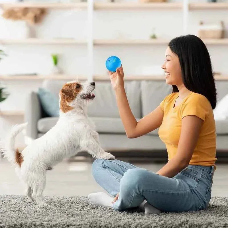 Electric Dog Interactive Ball - Happy Tails - paws & love
