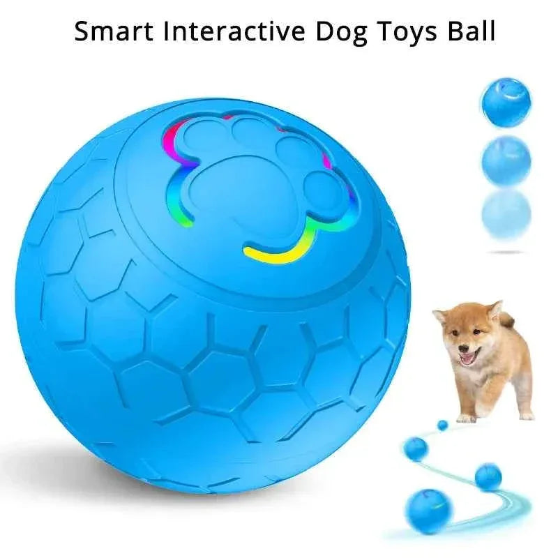 Electric Dog Interactive Ball - Happy Tails - paws & love