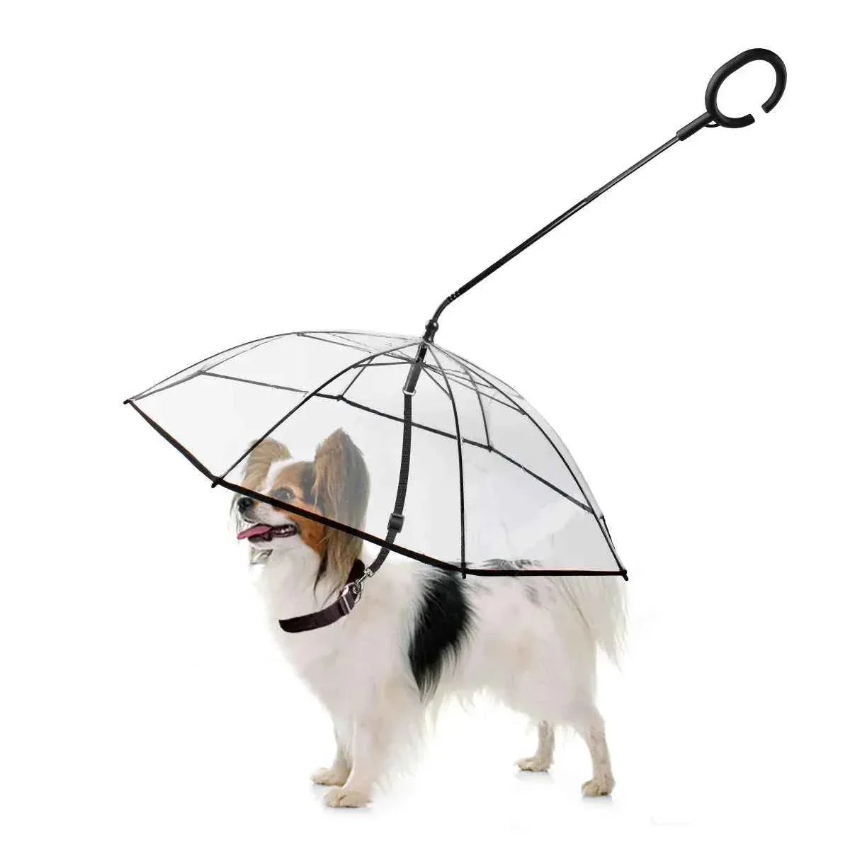 Dog Umbrella for Small Pets - Happy Tails - paws & love