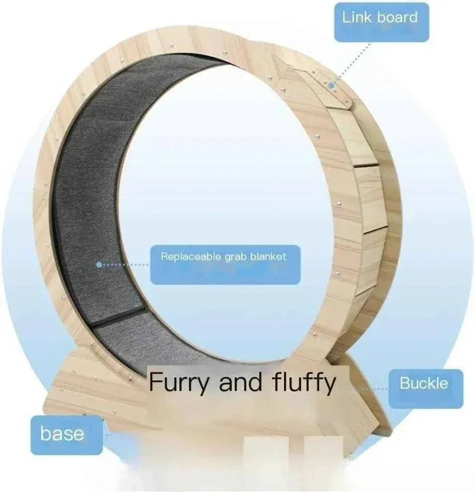 Friendly Silent Cat Exercise Wheel - Happy Tails - paws & love