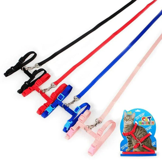 Kitten Adventures Harness & Leash Set - Happy Tails - paws & love