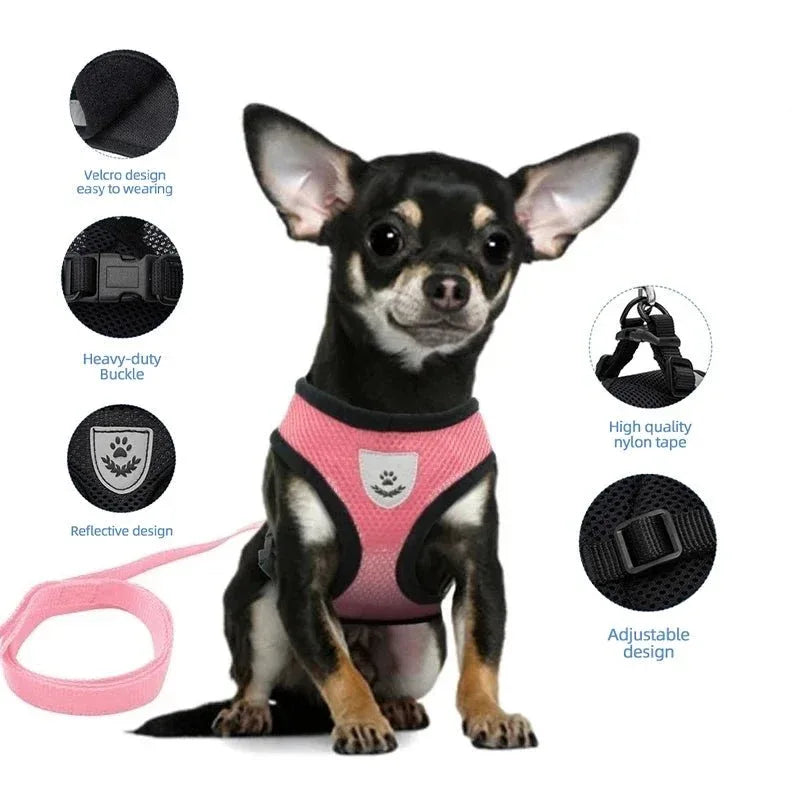 Cat Harness for Outdoor Adventures - Happy Tails - paws & love