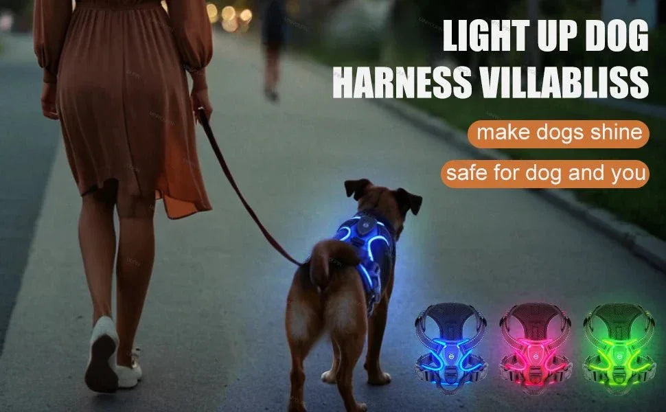 LED Dog Harness - Happy Tails - paws & love