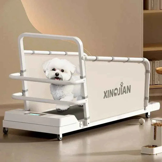 Pet Treadmill for Dogs and Cats - Happy Tails