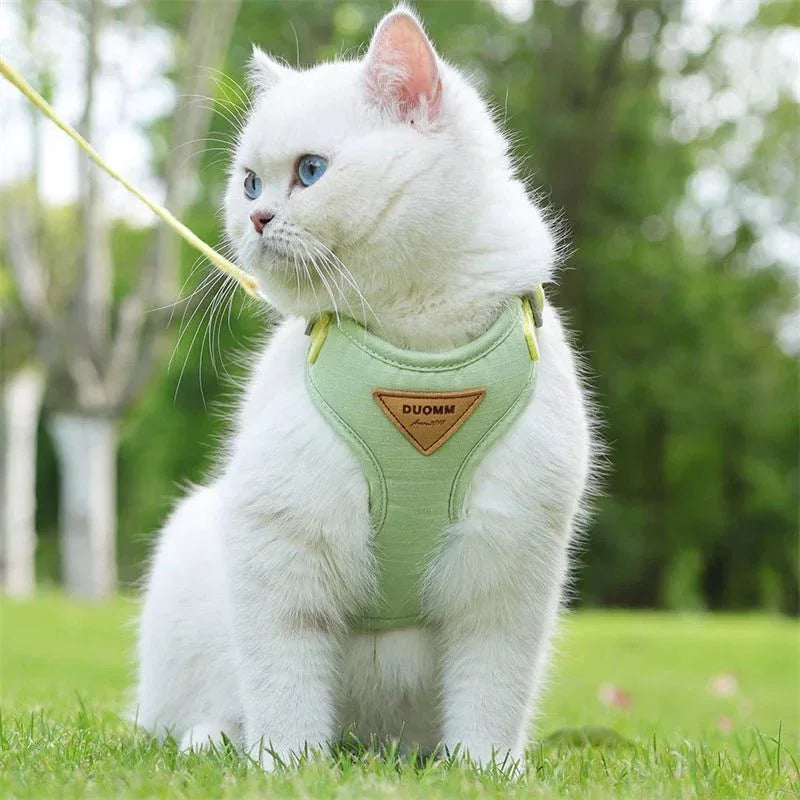 Cat & Puppy Harness and Leash - Happy Tails - paws & love