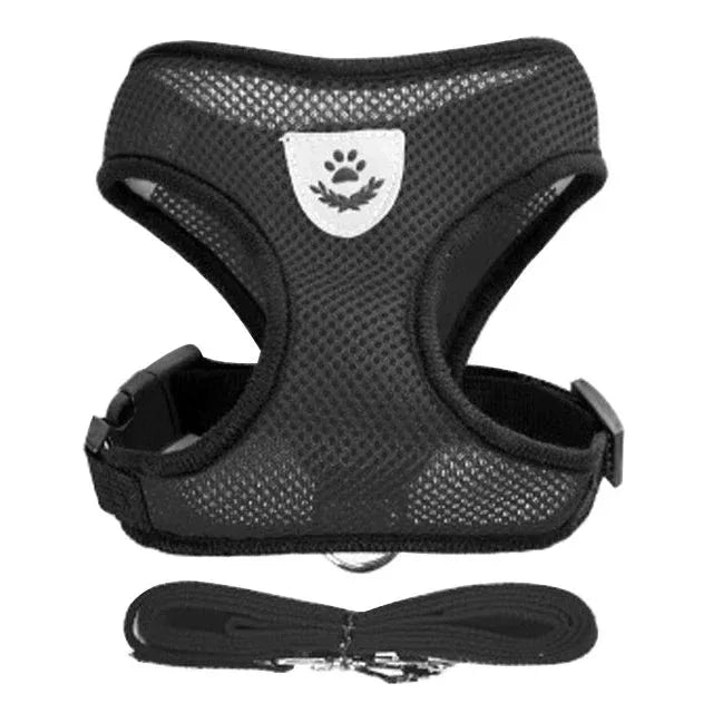 Feline Freedom Cat Harness - Happy Tails - paws & love