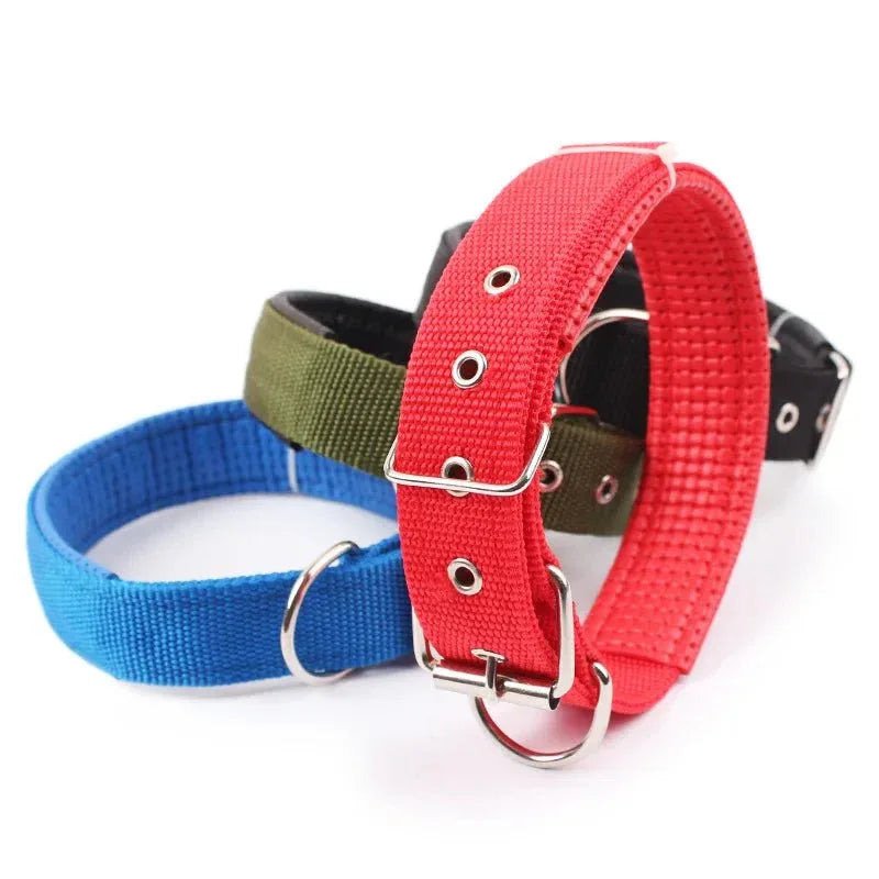 Solid Nylon Dog Collars - Happy Tails - paws & love