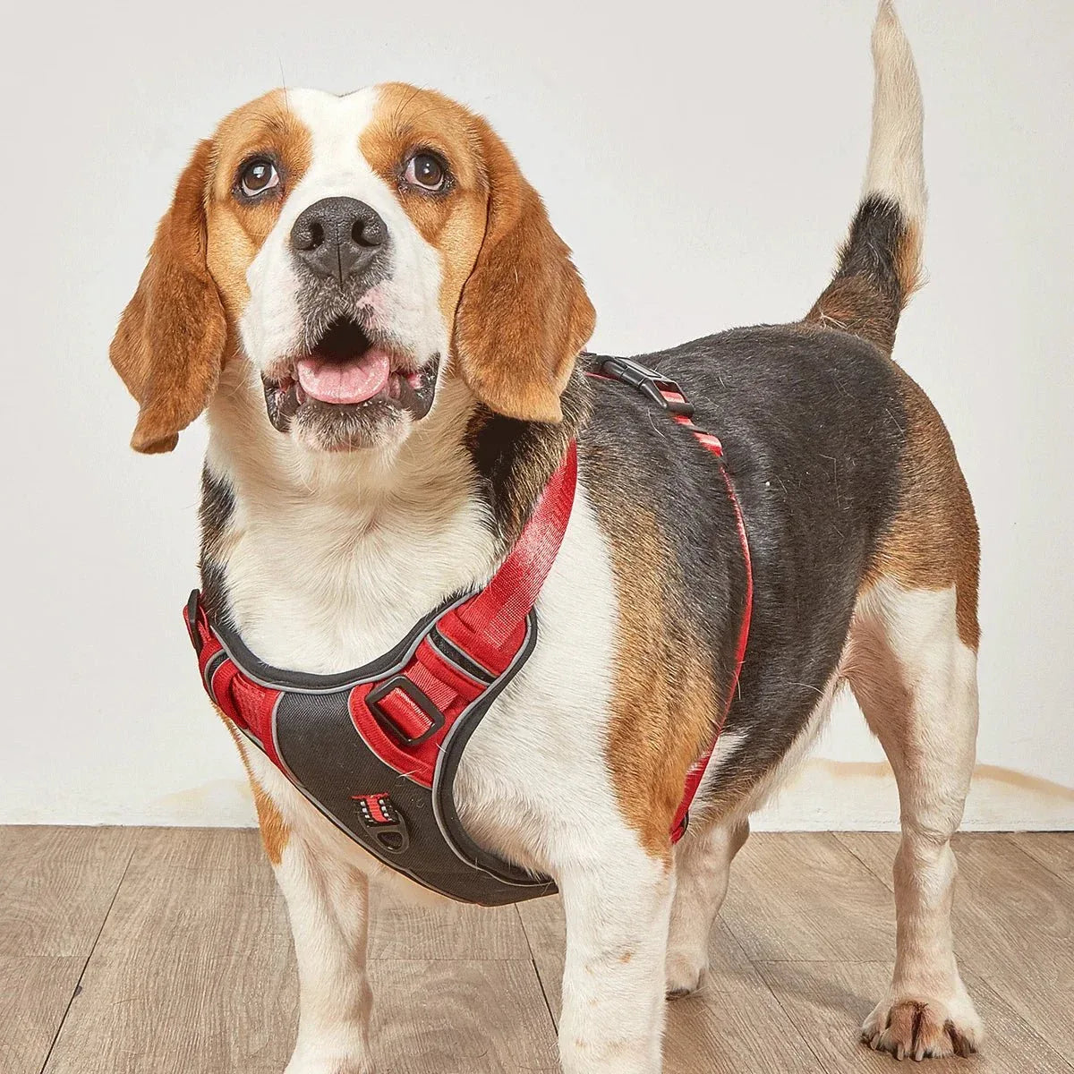 Dog Harness No Pull - Happy Tails - paws & love