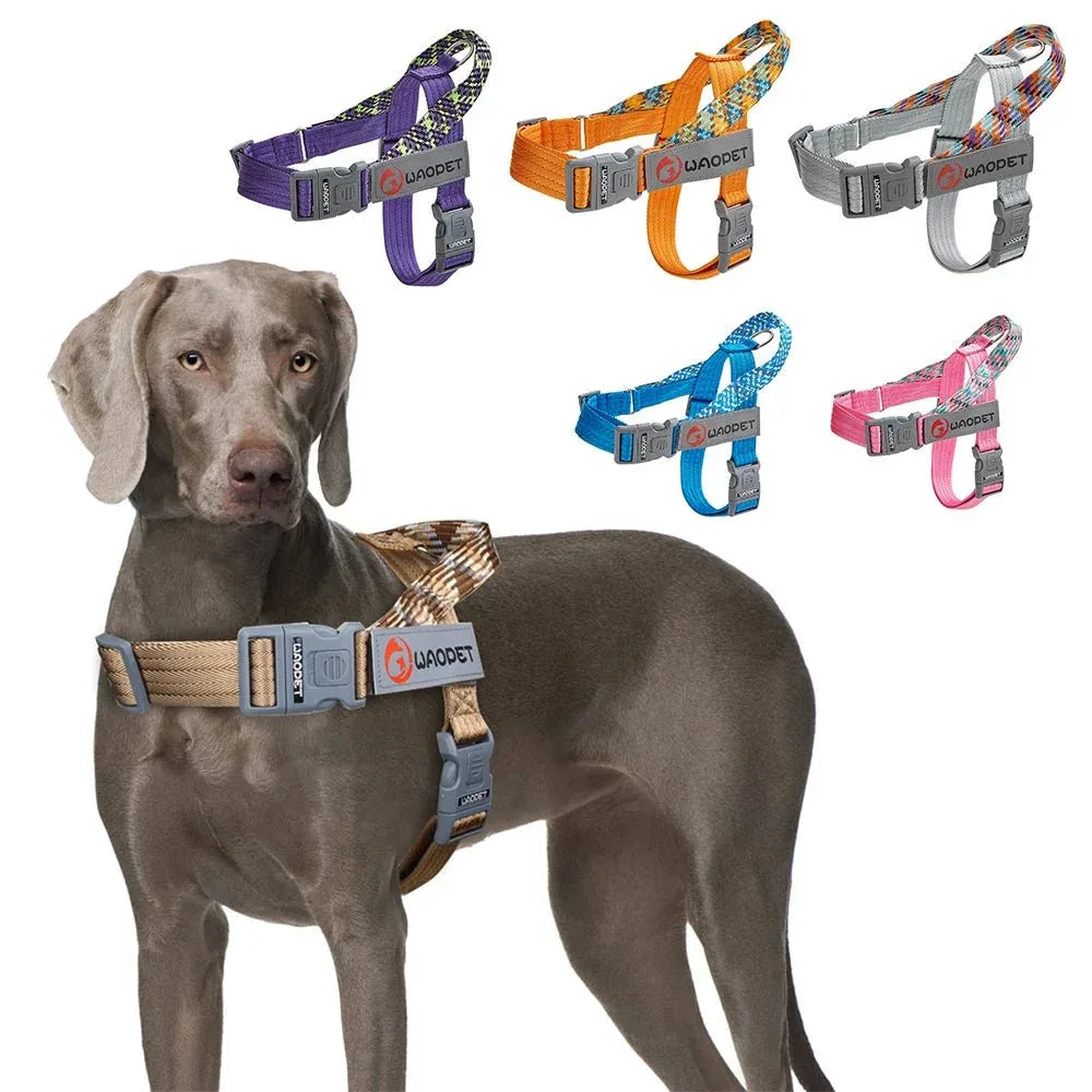 Dog Harnesses - Happy Tails - paws & love