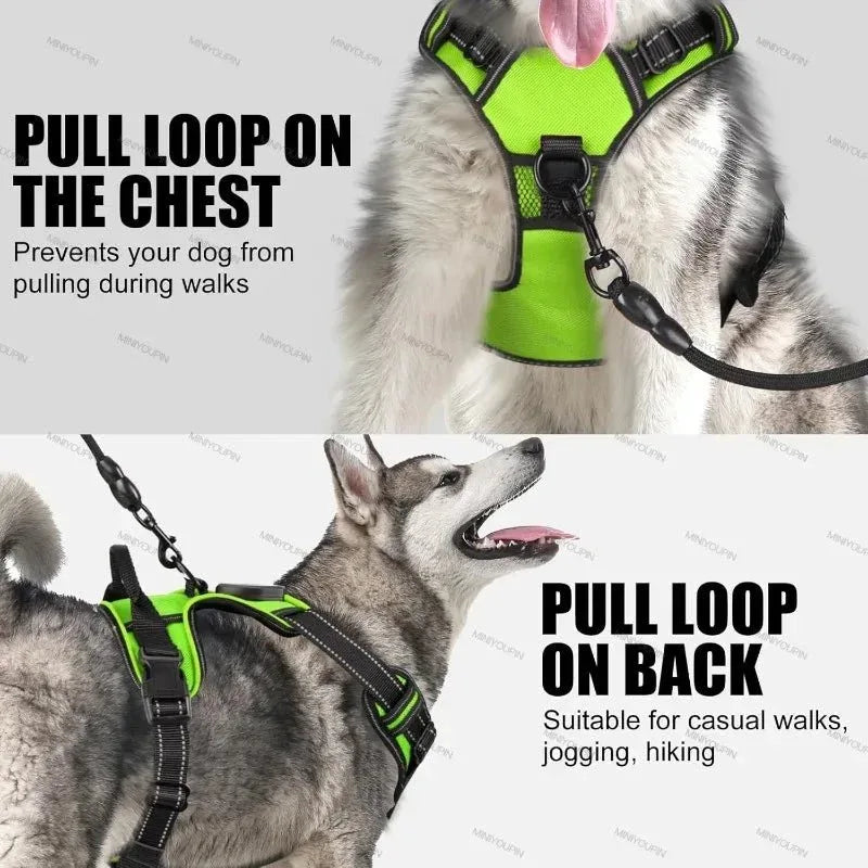 LED Dog Harness - Happy Tails - paws & love