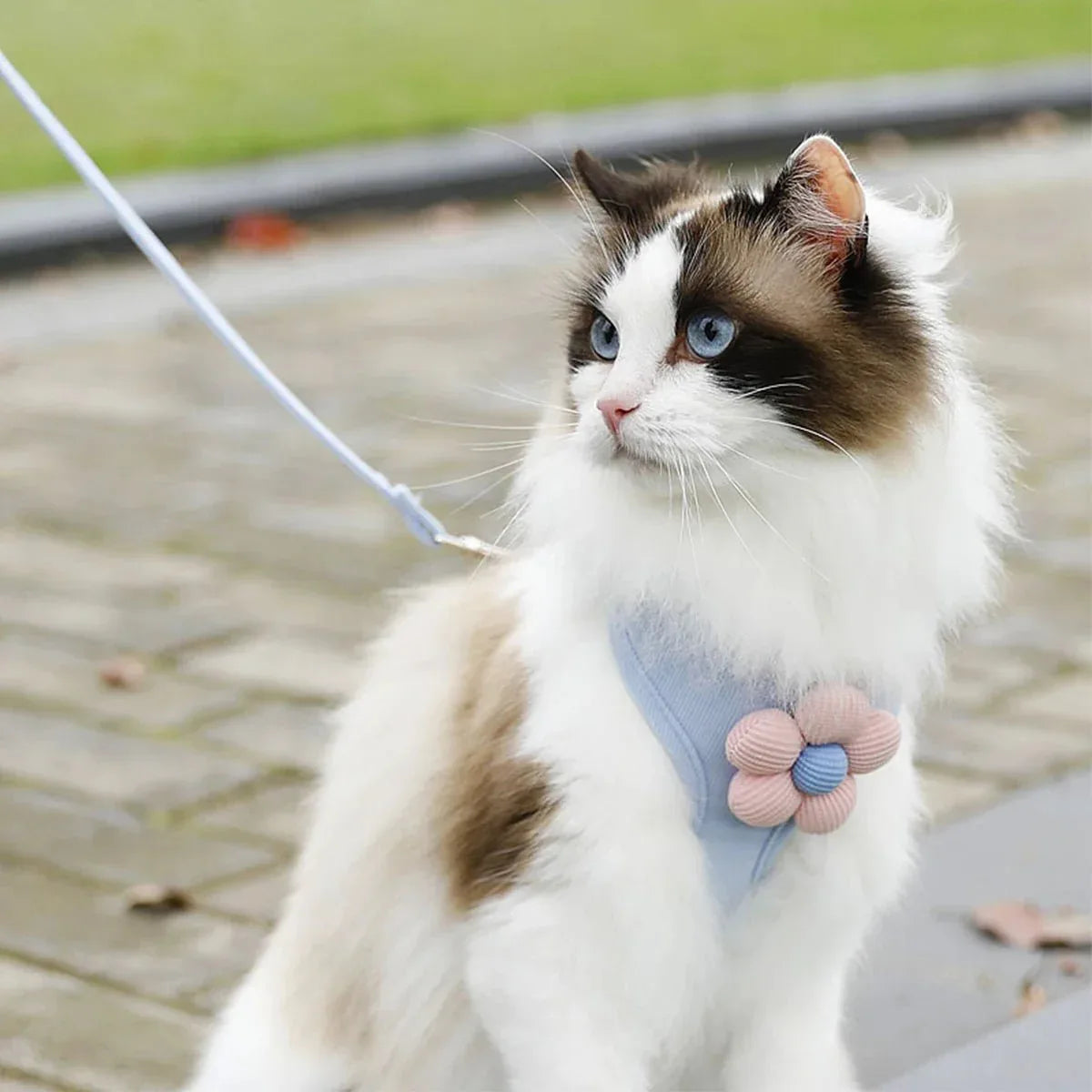 Cat Harness - Ultimate Comfort - Happy Tails - paws & love