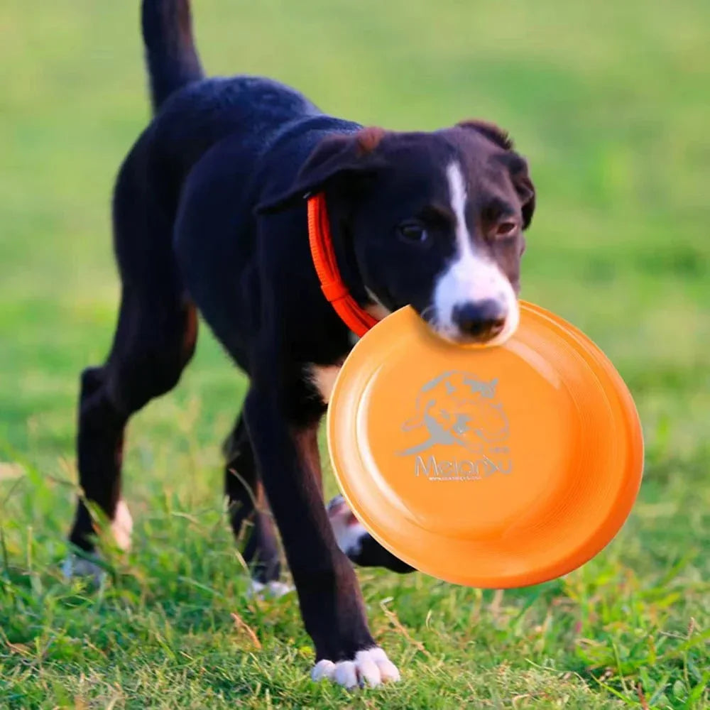 Dog Training Disc - Happy Tails - paws & love