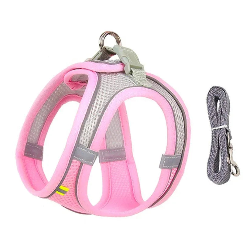 Leash & Harness Set for Small Dogs - Happy Tails - paws & love