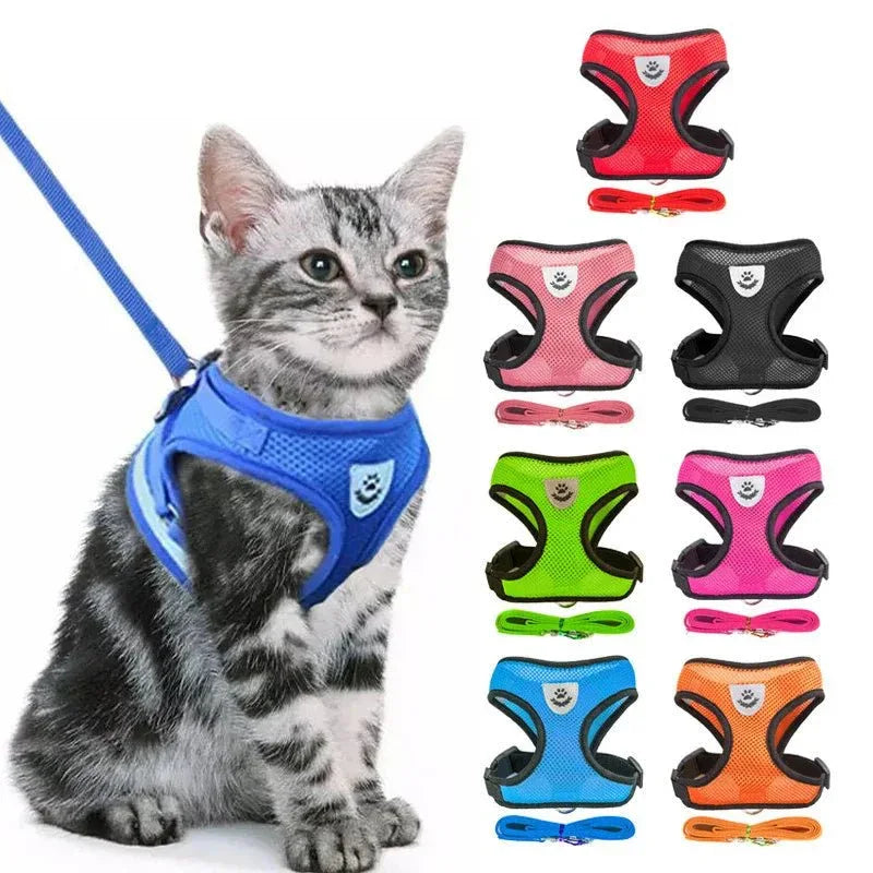 Cat Harness for Outdoor Adventures - Happy Tails - paws & love