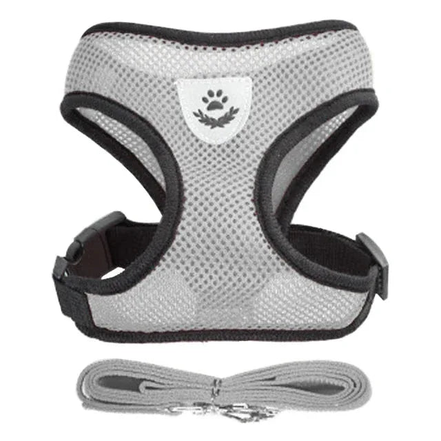 Dog Harness for Small Dogs - Happy Tails - paws & love