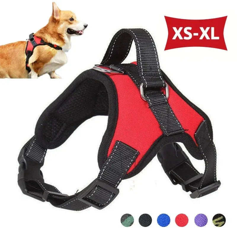 Saddle Dog Harness - Happy Tails - paws & love