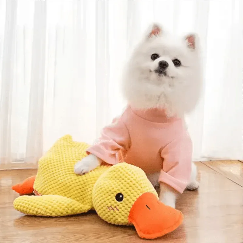 Hug a Duck Plush Toy - Ultra Soft - Happy Tails - paws & love
