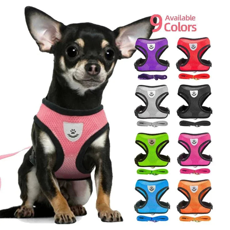 Dog Harness for Small Dogs - Happy Tails - paws & love